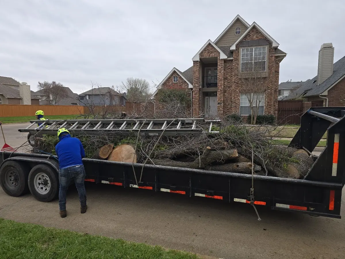 Expert Crown Reduction with proper safety equipment in Elm Springs